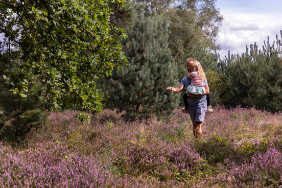 Bezoek het Nationale Park de Hoge Veluwe