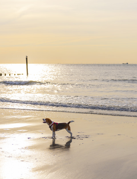Geniet van een ontspannen vakantie aan het strand in Noordrijn Westfalen