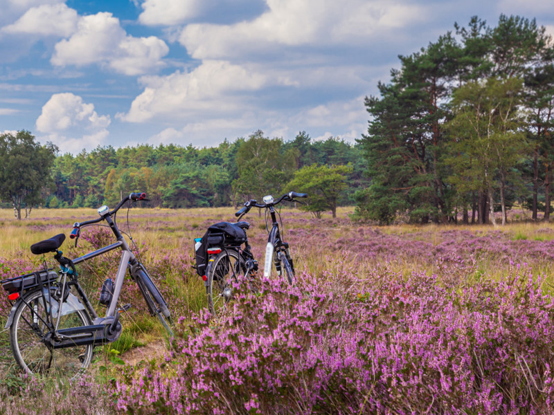 Summio Parc Heihaas – Putten