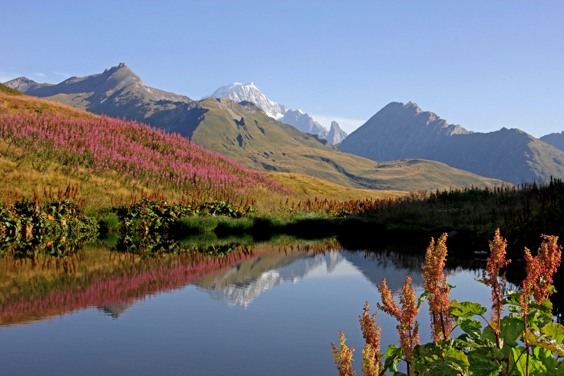 Geniet van de mooie herfstkleuren tijdens je herfstvakantie in Vallorcine