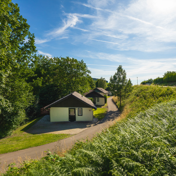 De Eifel in de zomer