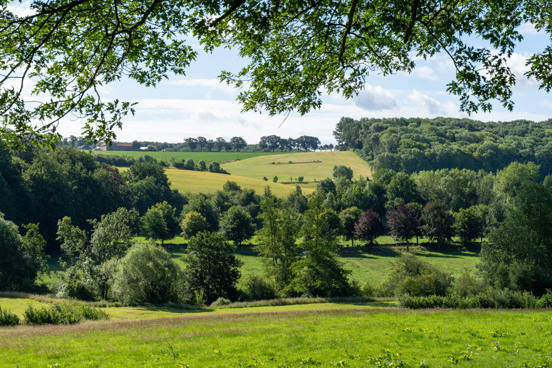 Vakantieparken in het Limburgse heuvellandschap