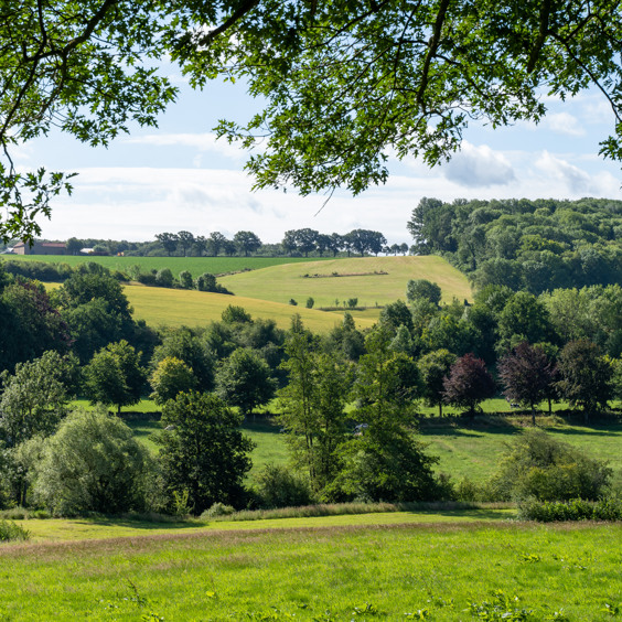 Vakantieparken in het Limburgse heuvellandschap