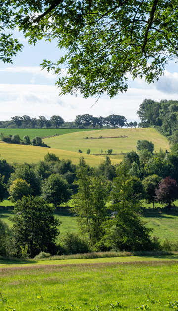 Book your holiday in Limburg now