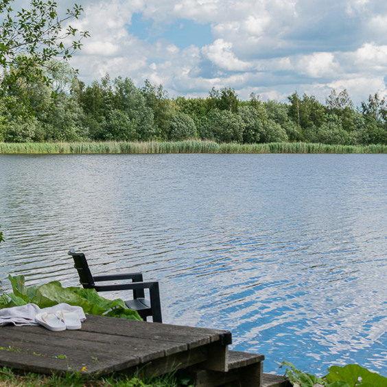 Visvakantie vanaf je vakantiewoning in Groningen, Nederland