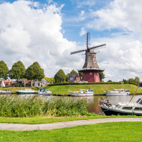 Frisian nature Dokkum