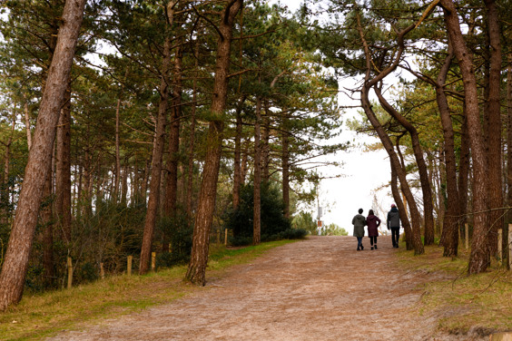 Ontdek een winter midden in de Schoorlse duinen