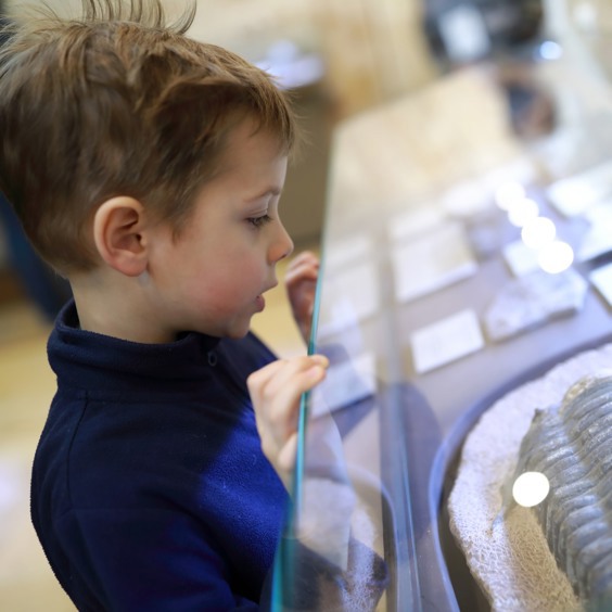 Nog meer musea in de omgeving van Summio Vakantiepark Zeedijk: