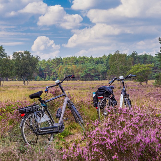 Sommerurlaub in der Natur mit Summio Parcs