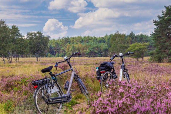 Zomervakantie in de natuur met Summio Parcs