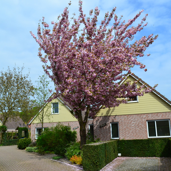 Bekijk onze accommodaties