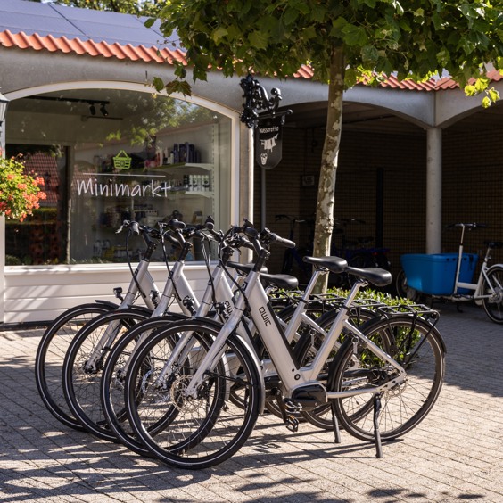 Welke fietsen kun je huren in Diessen-Baarschot?