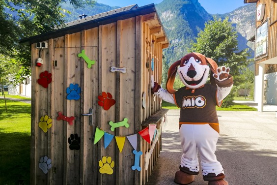 Fun & Entertainment in de zomervakantie