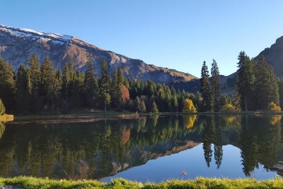 Vivez l’expérience d’une location à Morzine et ses environs