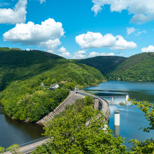 Umgebung des Summio Eifelpark Kronenburger See