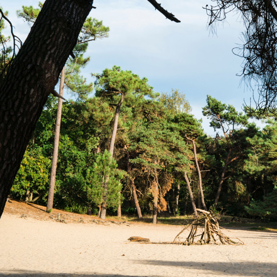 Nationaal Park De Loonse en Drunense Duinen ontdekken